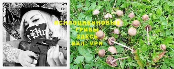 эйфоретик Навашино
