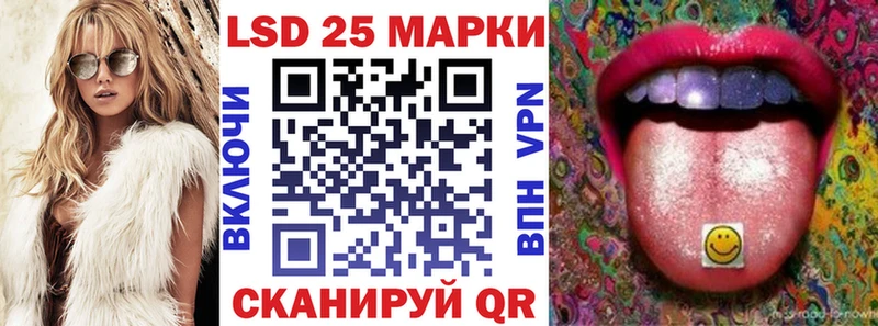 kraken как зайти продажа наркотиков Пугачёв Наркотические марки 1500мкг