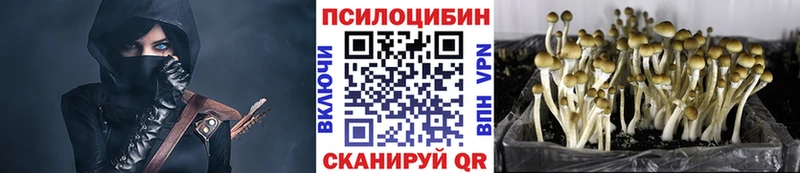 Галлюциногенные грибы Magic Shrooms  Пугачёв 