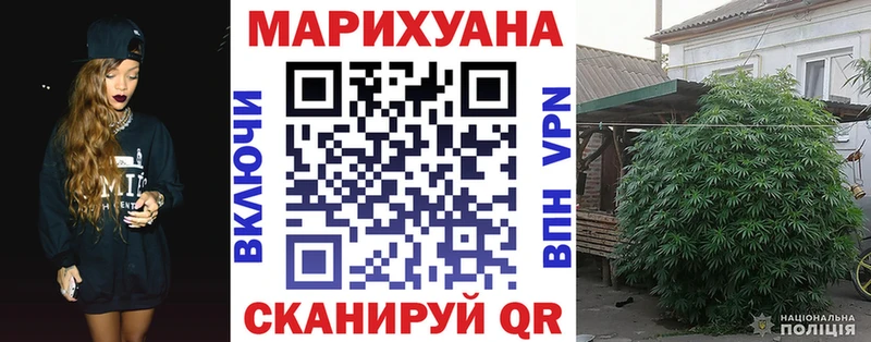 Канабис Amnesia Пугачёв